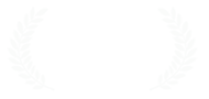 Bronze Winner, 2014 International Serious Play Conference